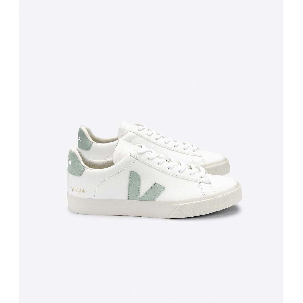 Veja CAMPO CHROMEFREE Low Tops Sneakers Férfi White/Mint | HU 295RVD